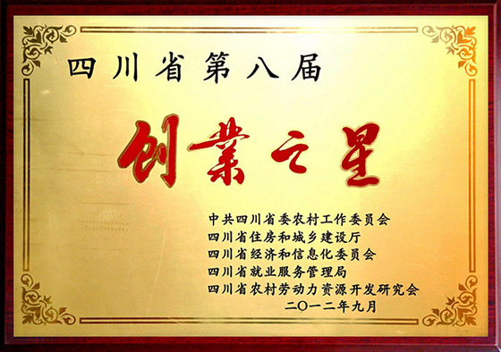 创业云星